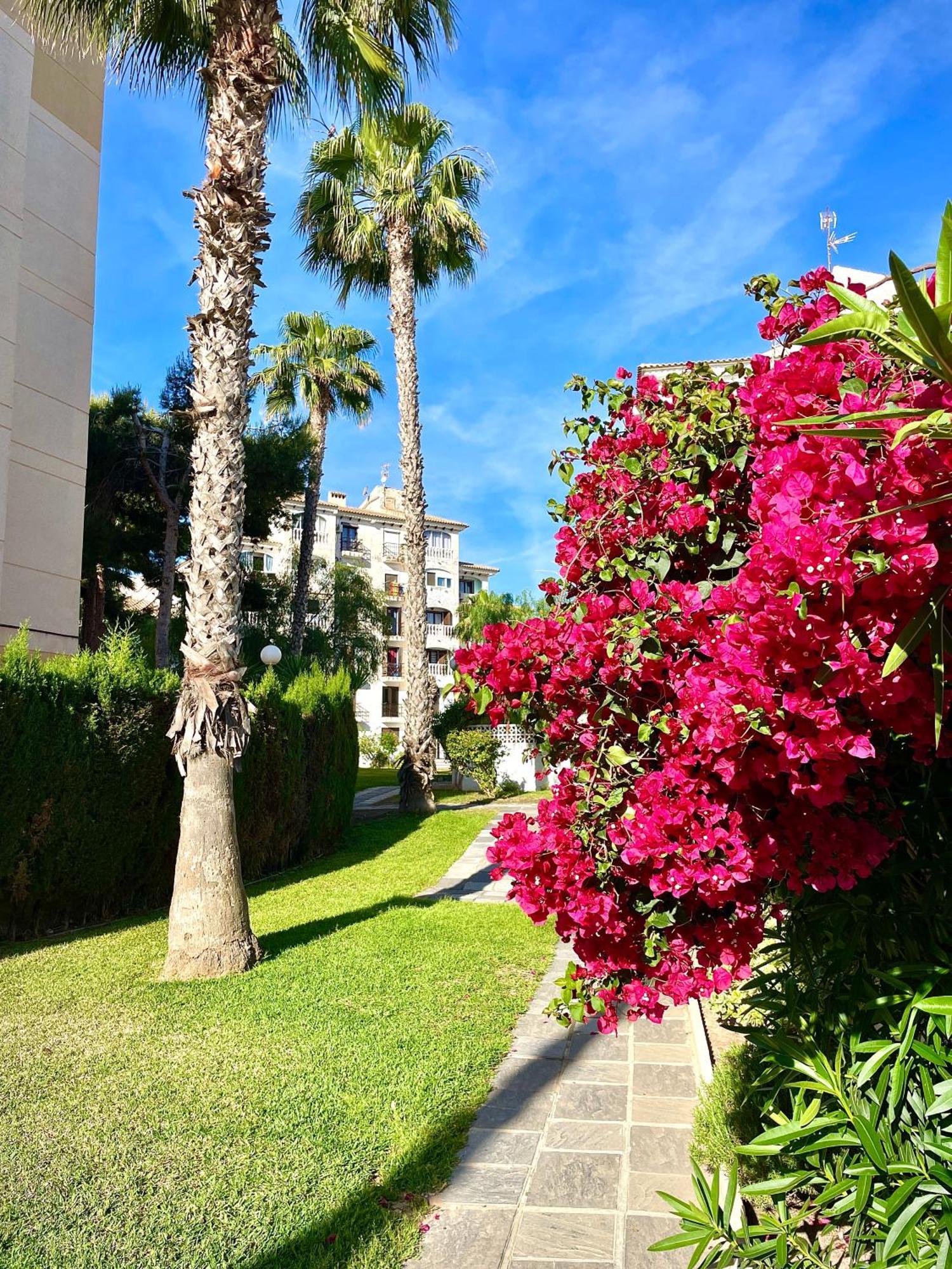 Calas Blancas Torrevieja Luaran gambar